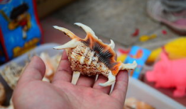 贝壳视频,探索房产新视角，解锁美好居住生活