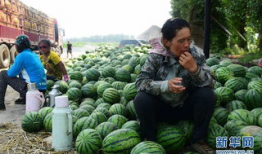 嘉善县吃瓜爆料,揭秘当地热点事件背后的真相